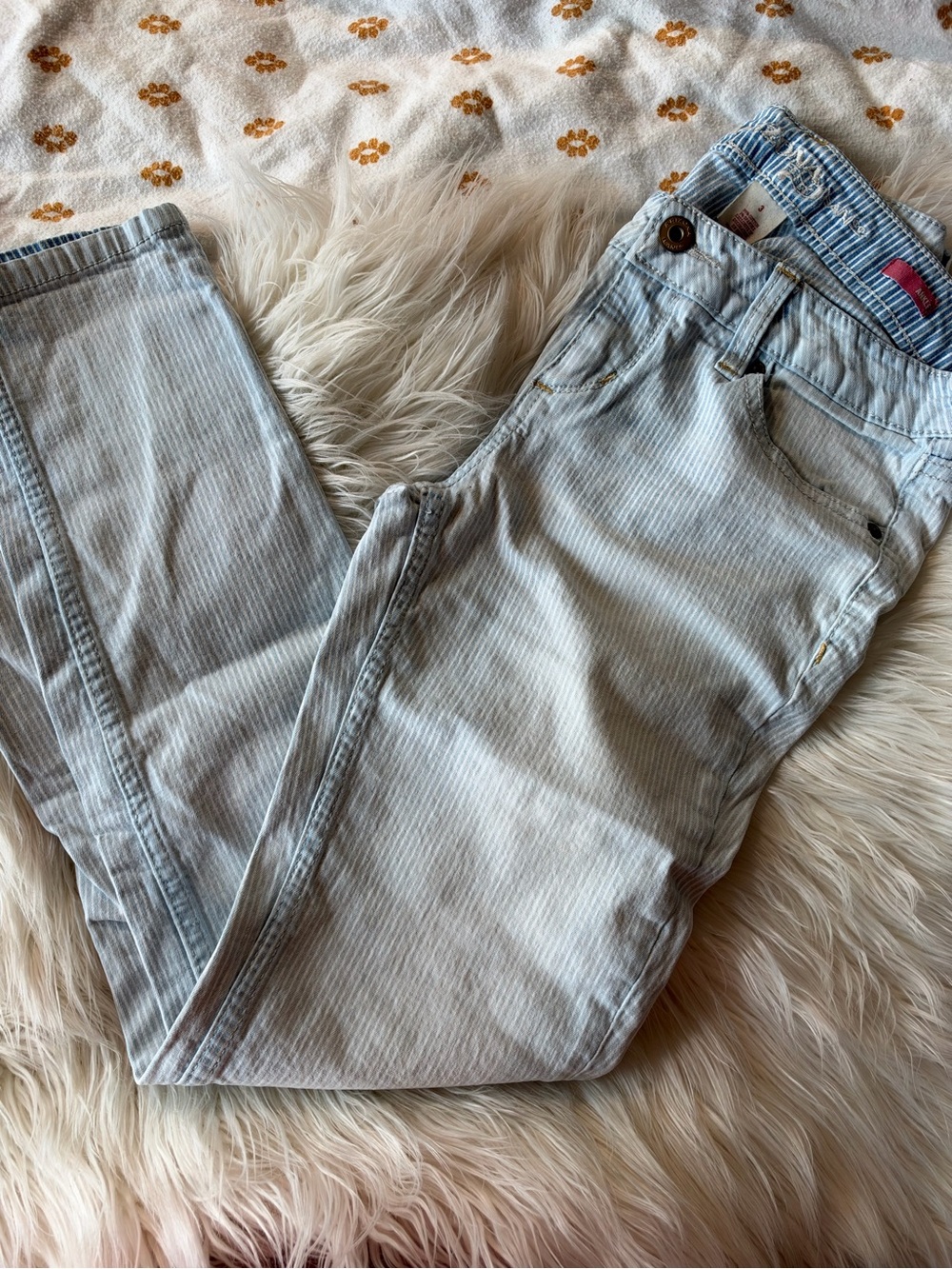 Arizona Jean Company Light Blue Striped Skinny Jeans
